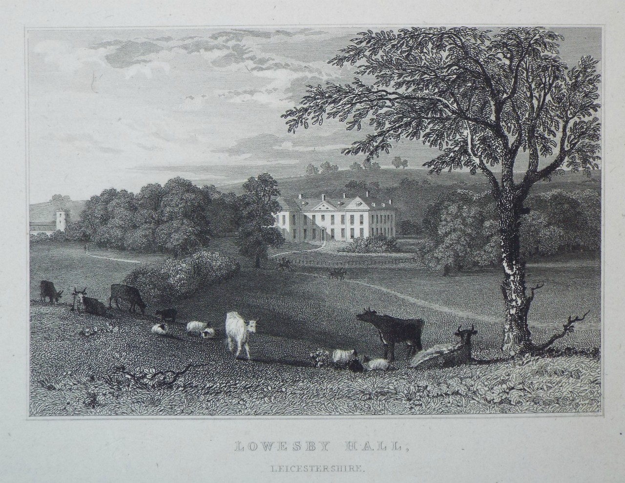 Print - Lowesby Hall, Leicestershire. - Capon