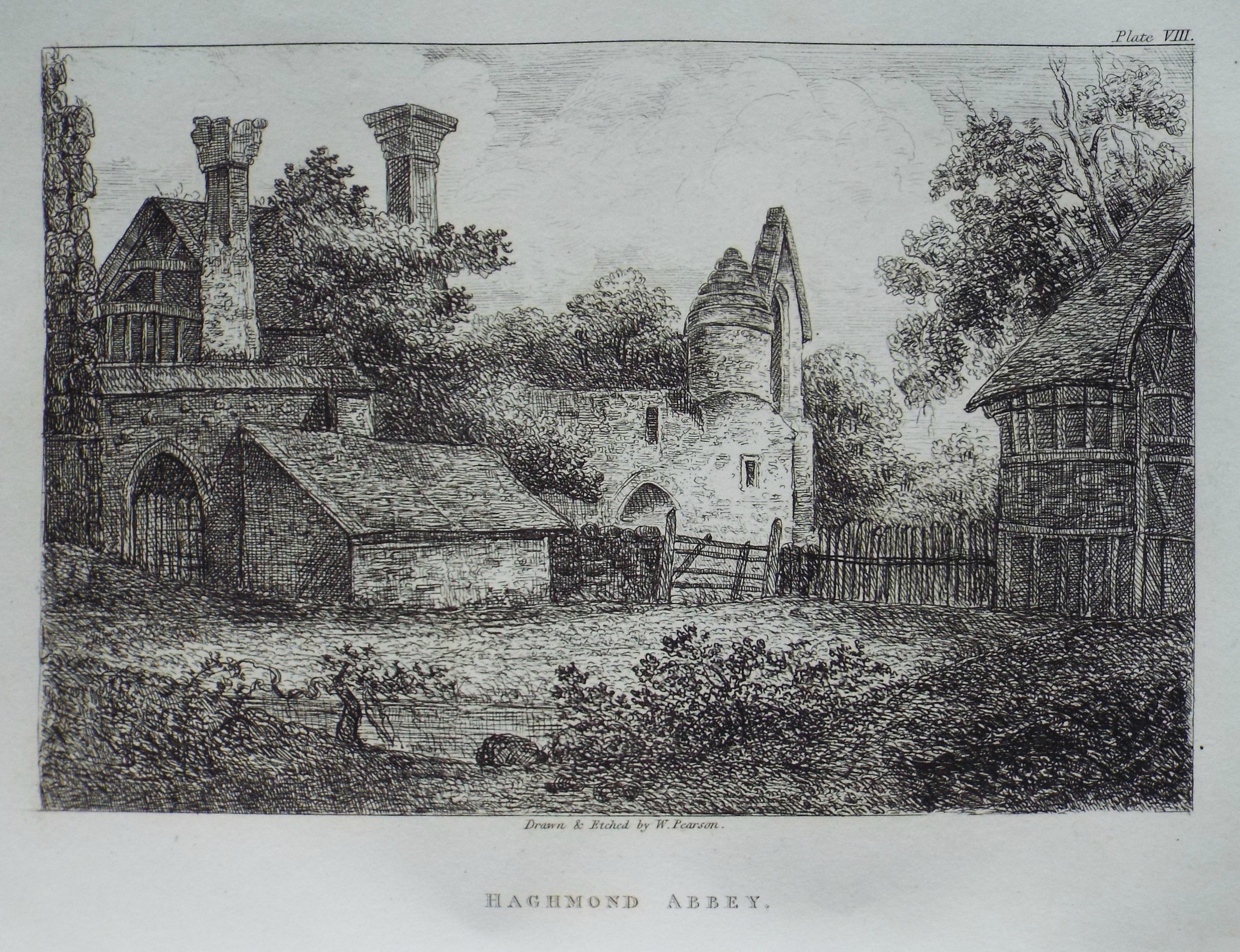 Etching - Haghmond Abbey - Pearson