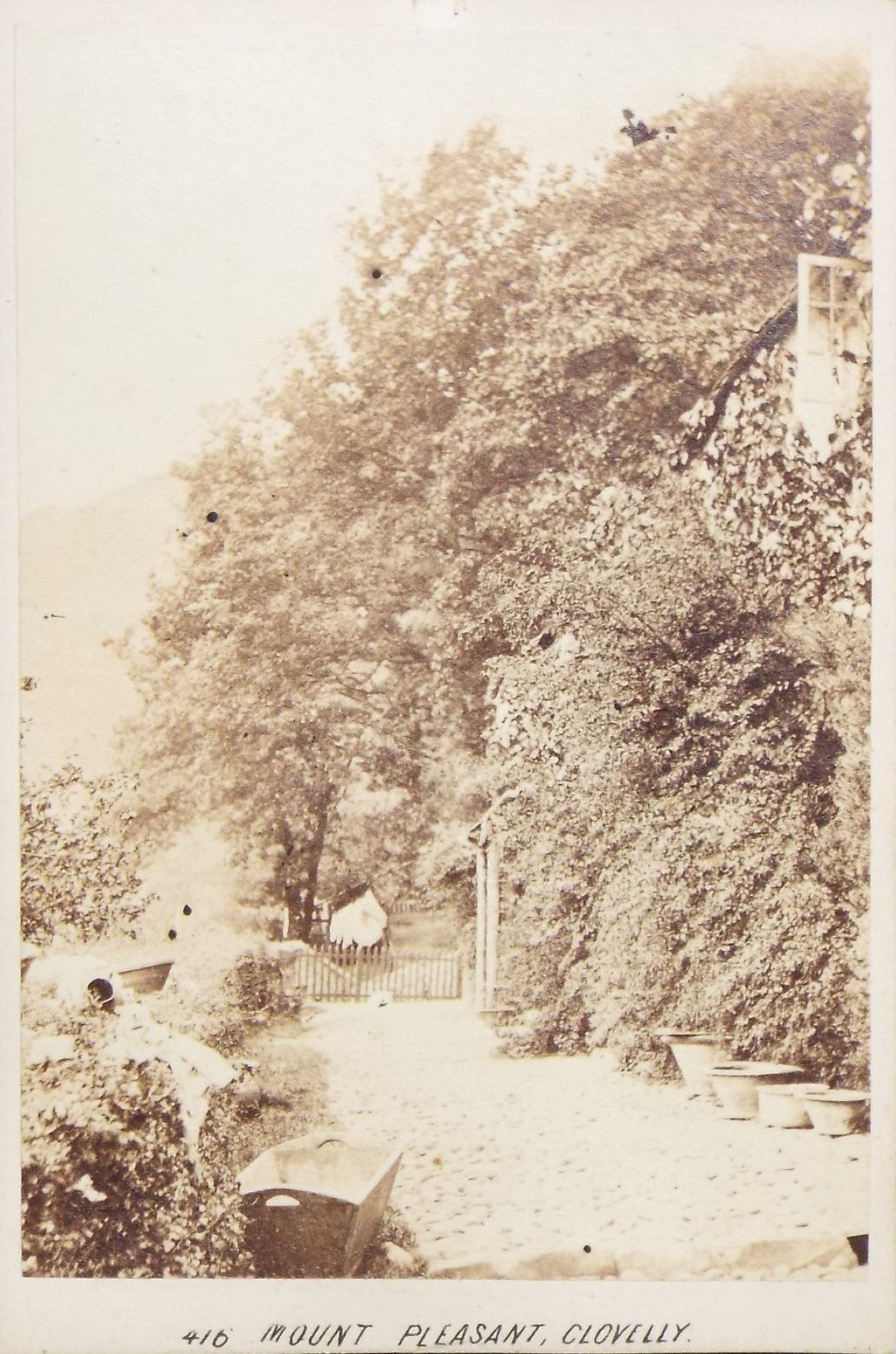 Photograph - Mount Pleasant, Clovelly.