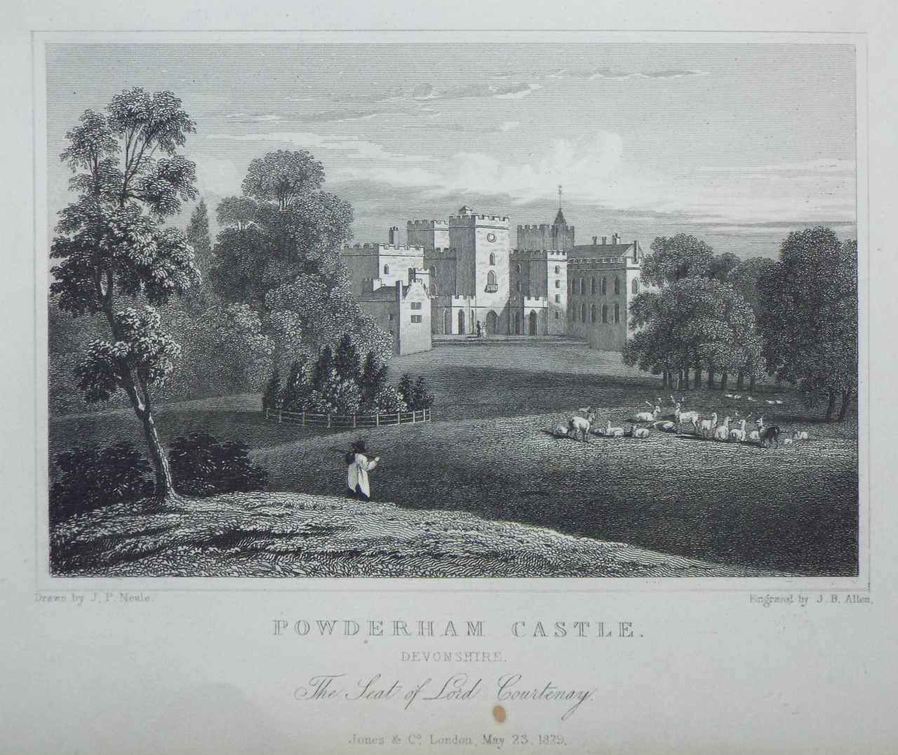Print - Powderham Castle. Devonshire. The Seat of Lord Courtenay.  - Allen