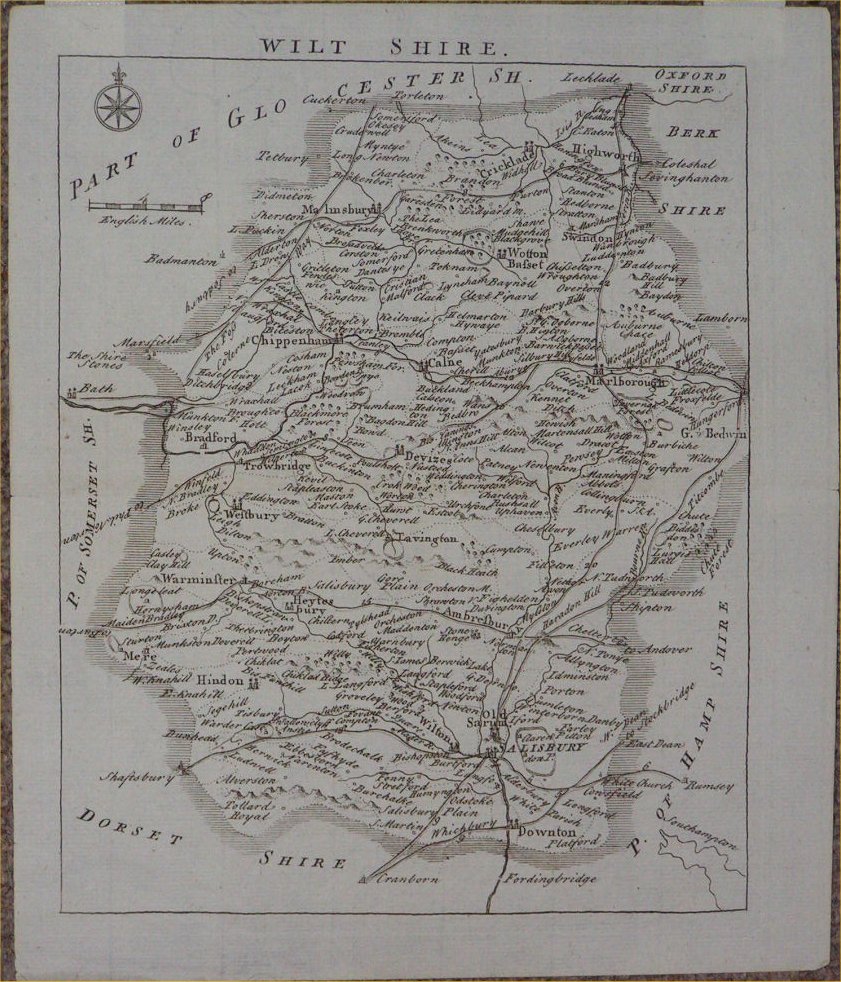 Map of Wiltshire - Rocque
