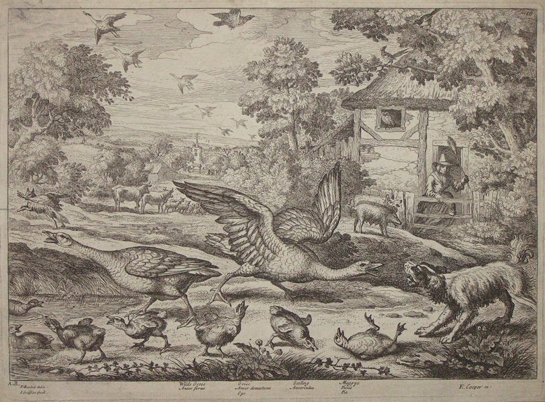 Print - Wilde Goose, Goose, Gosling, Magpye - Griffier