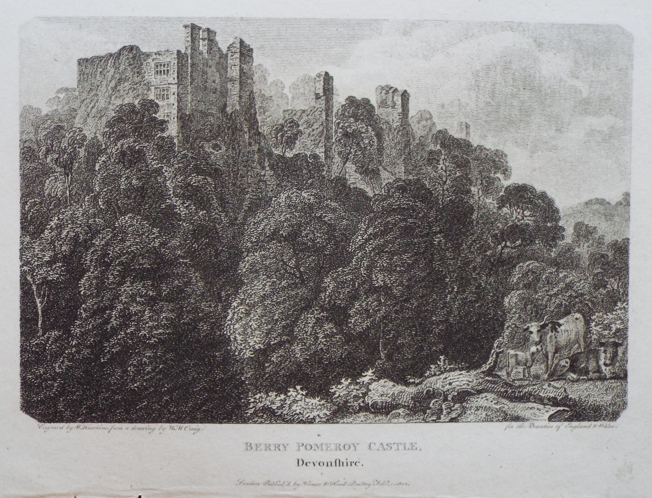 Print - Berry Pomeroy Castle, Devonshire. - Watkins