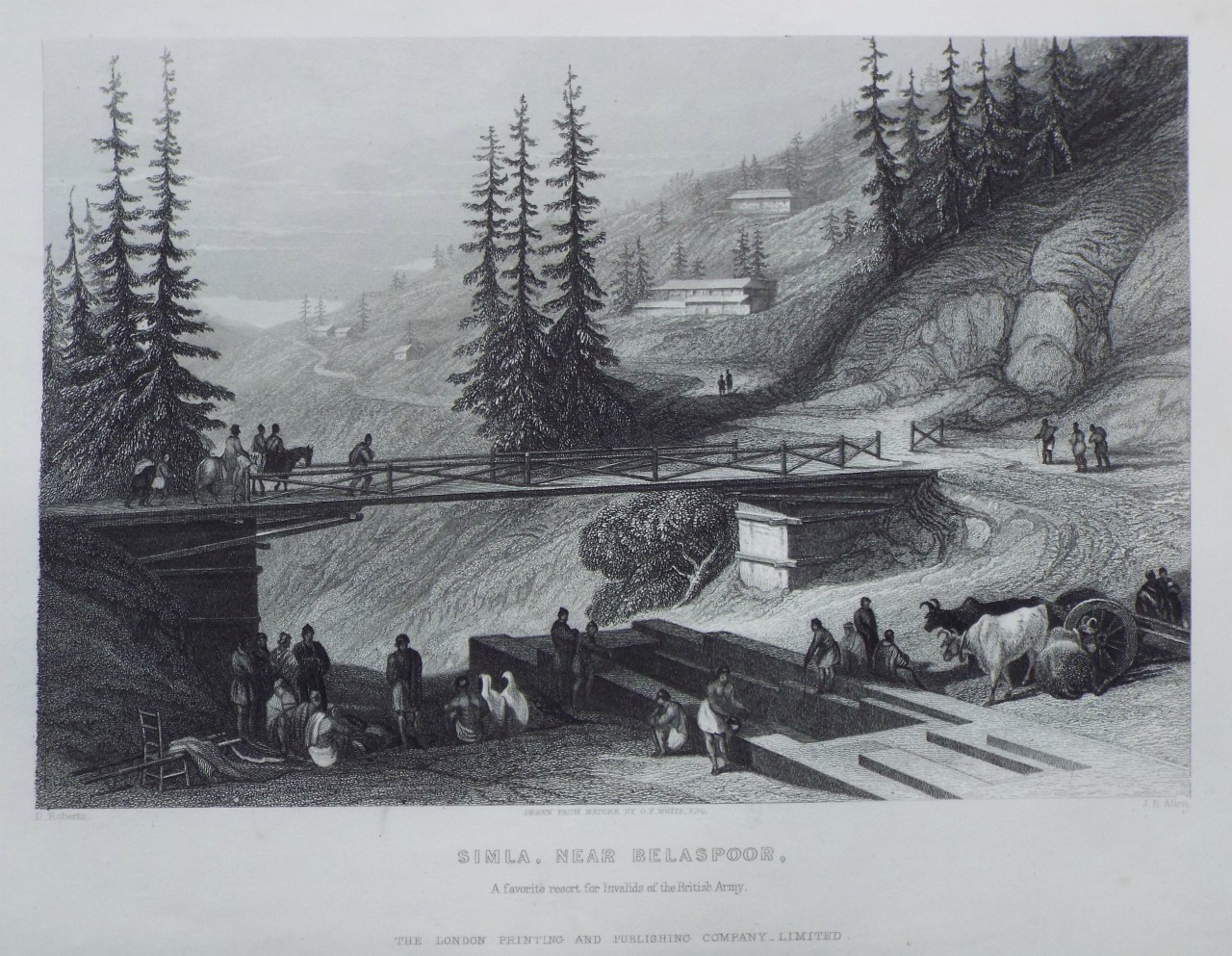 Print - Simla, near Belaspoor, a favourite resort for Invalids of the British Army. - Allen