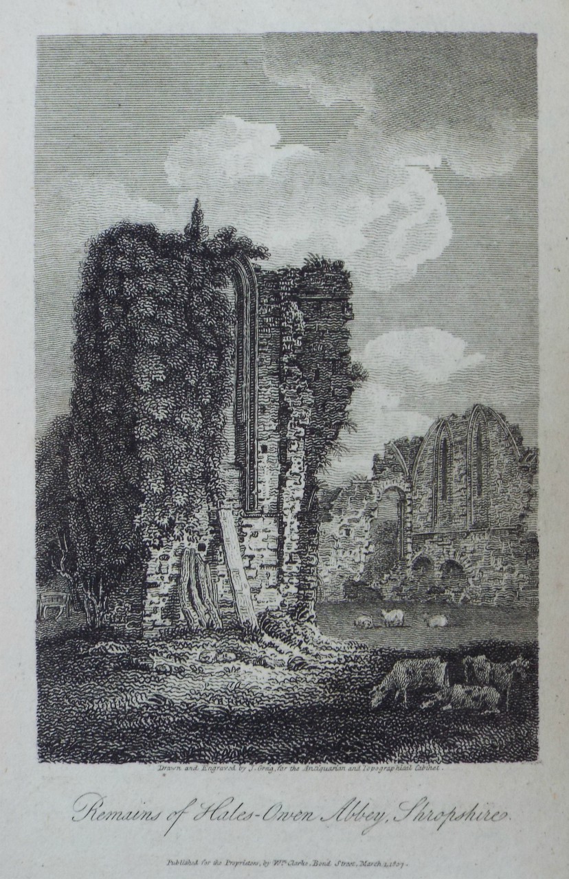 Print - Remains of Hales-Owen Abbey, Shropshire. - Greig
