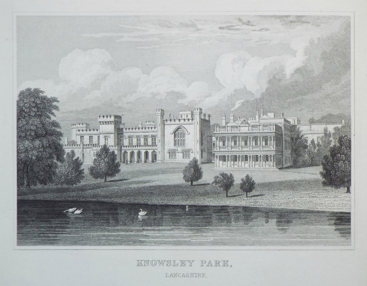 Print - Knowsley Park, Lancashire. - Neale