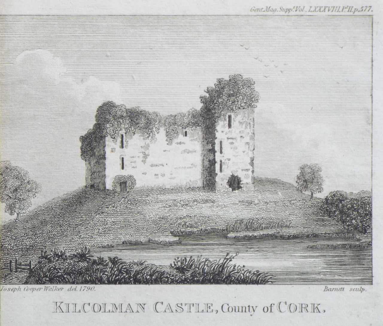 Print - Kilcolman Castle, County of Cork. - 