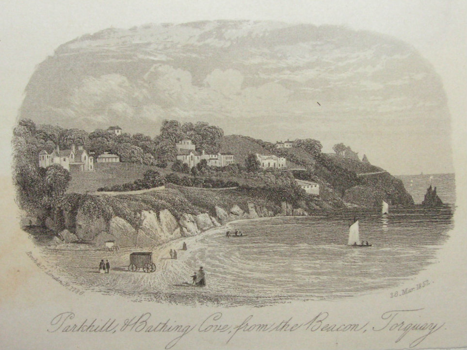 Steel Vignette - Parkill, & Bathing Cove, from the Beacon, Torquay - Rock