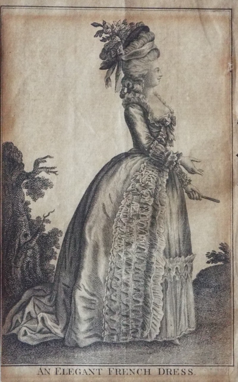 Print - An Elegant French Dress