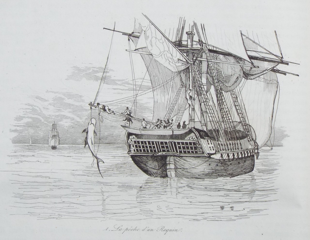 Etching - La peche d'un Requin. - Sainson