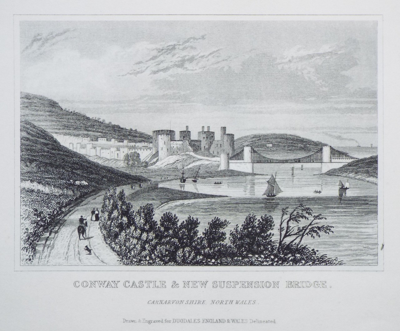 Print - Conway Castle & New Suspension Bridge. Carnarvonshire, North Wales.