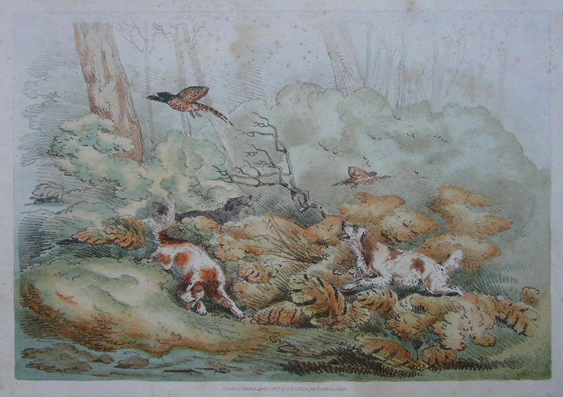Soft-ground Etching - (Dogs and pheasants) - Alken