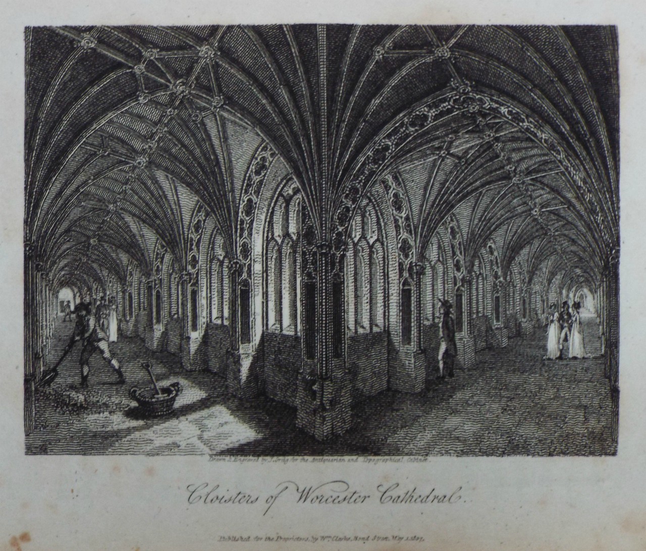 Print - Cloisters, of Worcester Cathedral. - Greig