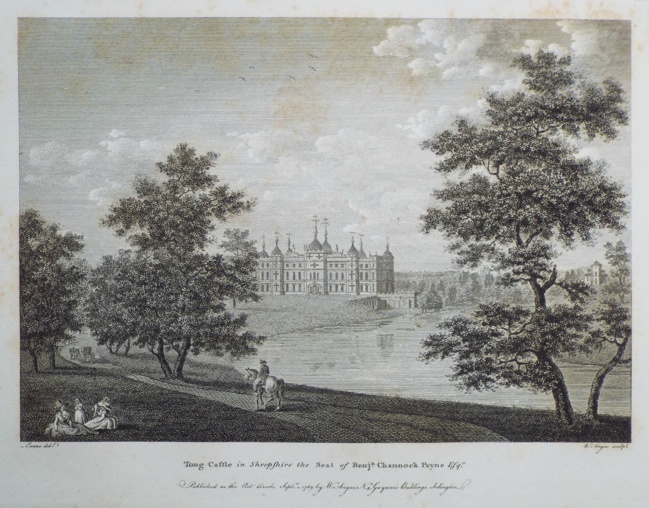 Print - Tong Castle in Shropshire the Seat of Benjn. Channock Payne Esqr. - Angus