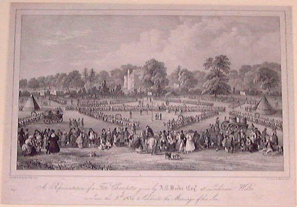 Lithograph - A Representation of a Fete Champetre... - Gauci