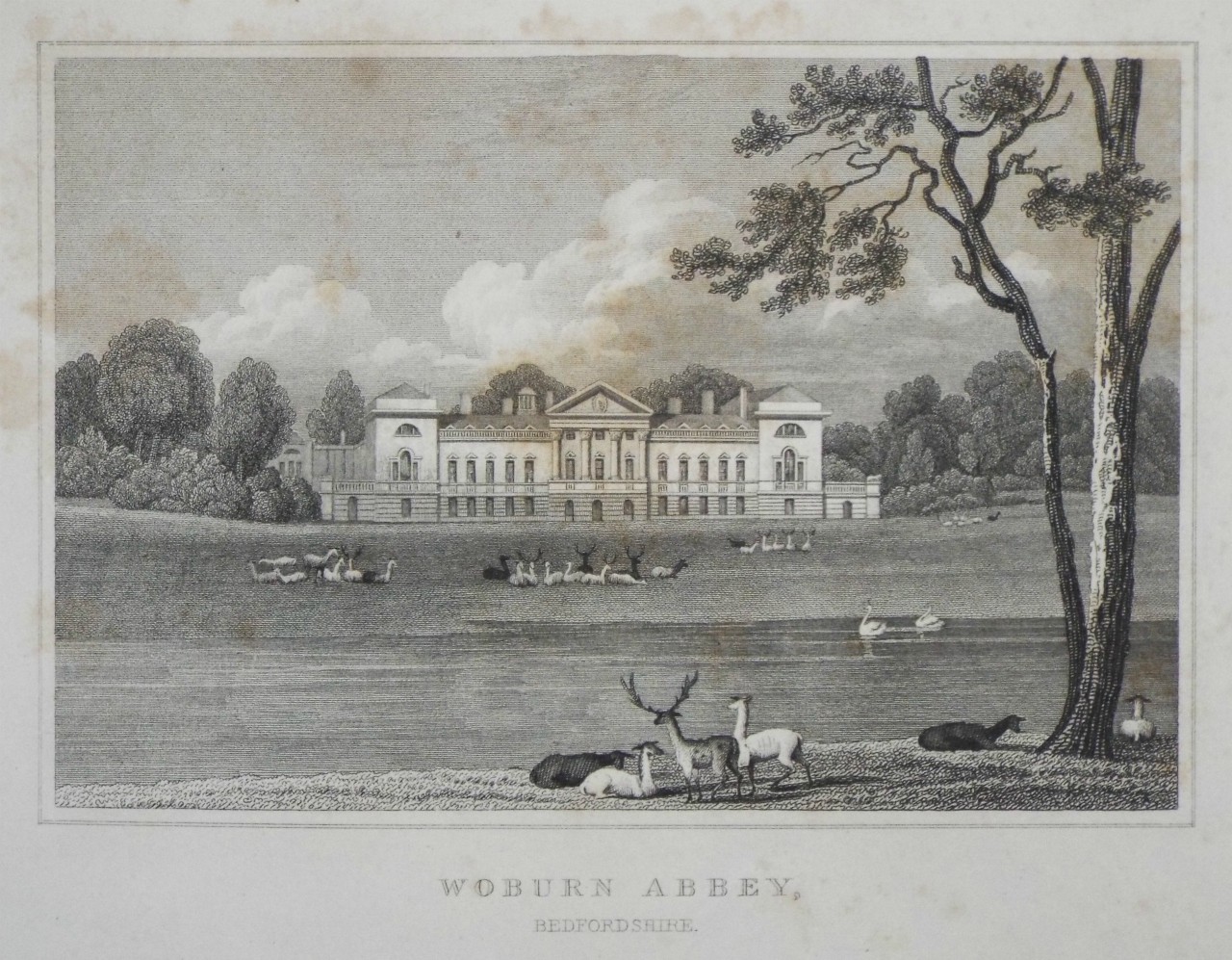 Print - Woburn Abbey, Bedfordshire. - Bond