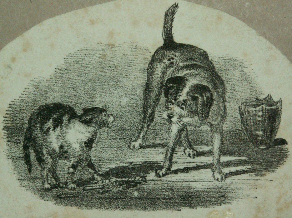 Lithograph - (Cat & dog)