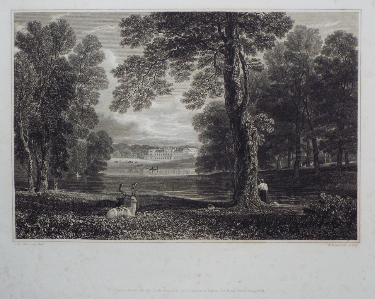 Print - A view of the house from the park - Radclyffe