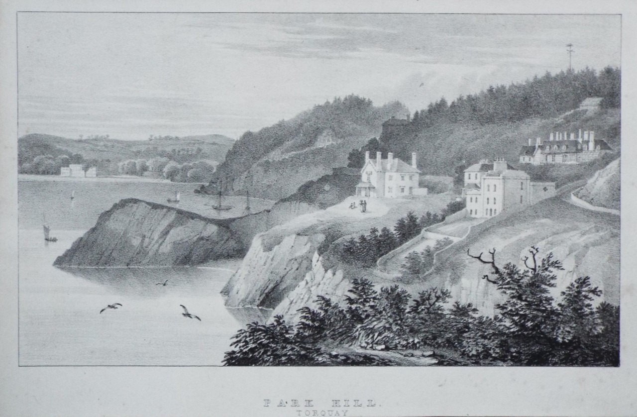 Lithograph - Park Hill. Torquay - Rowe