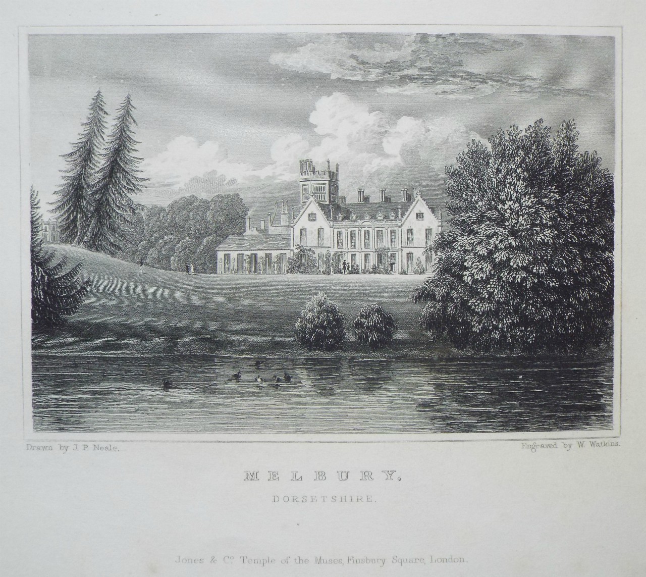 Print - Melbury, Dorsetshire. - Watkins