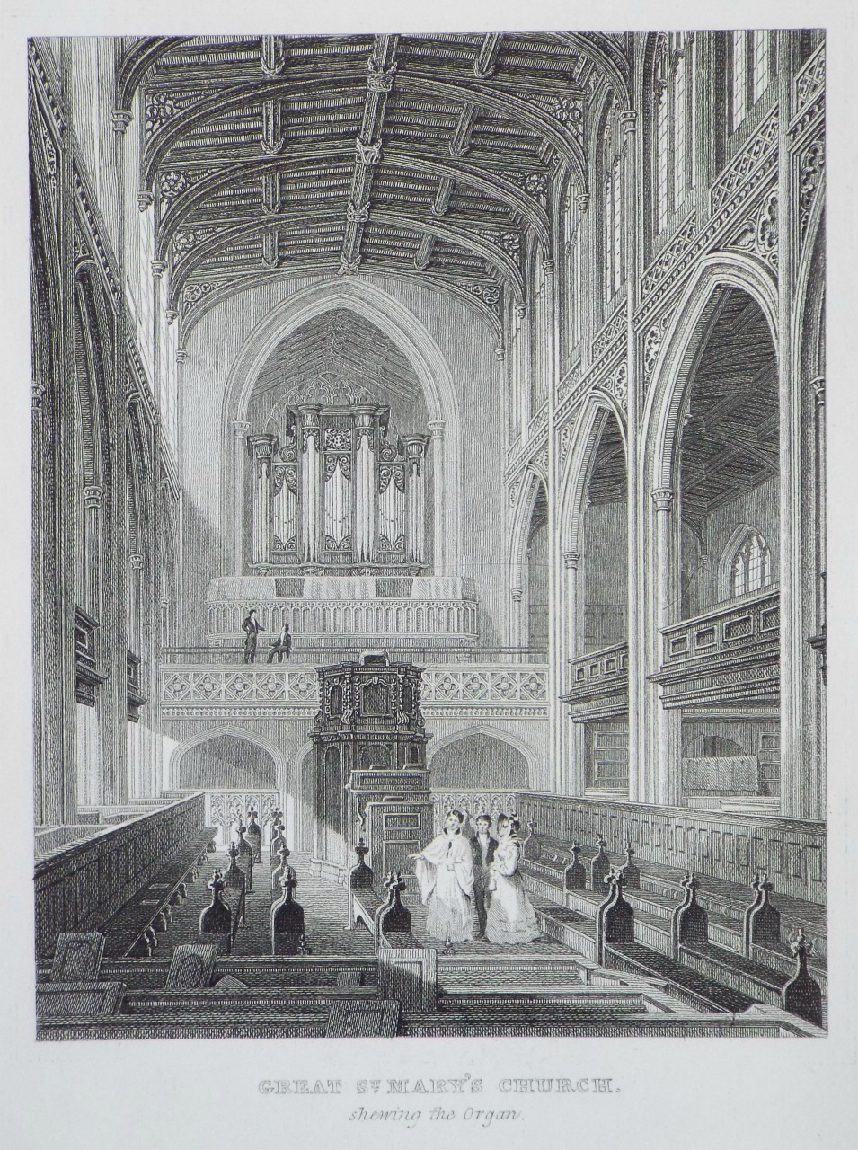 Print - Great St. Mary's Church. shewing the Organ.