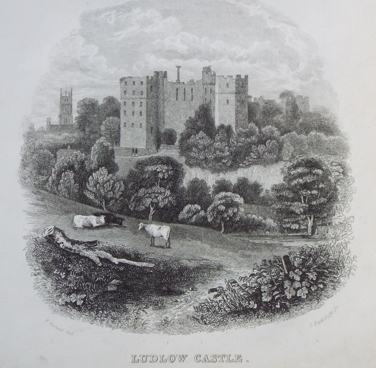 Print - Ludlow Castle. - Radclyffe