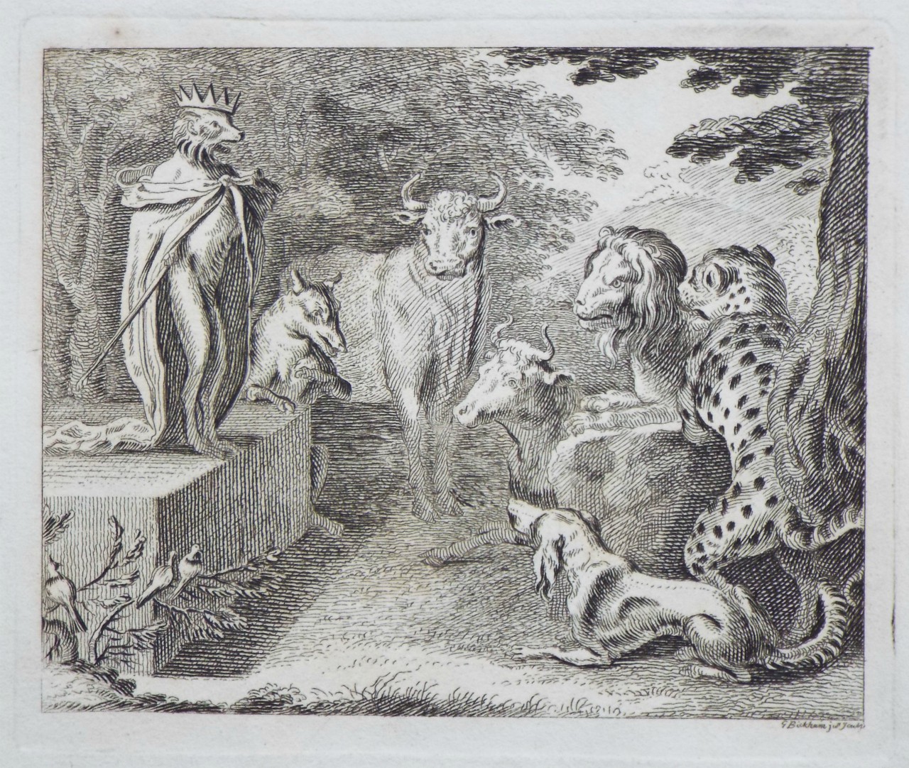 Print - (Aesop fable - Lion king with cows, dogs & leopard) - Bickham