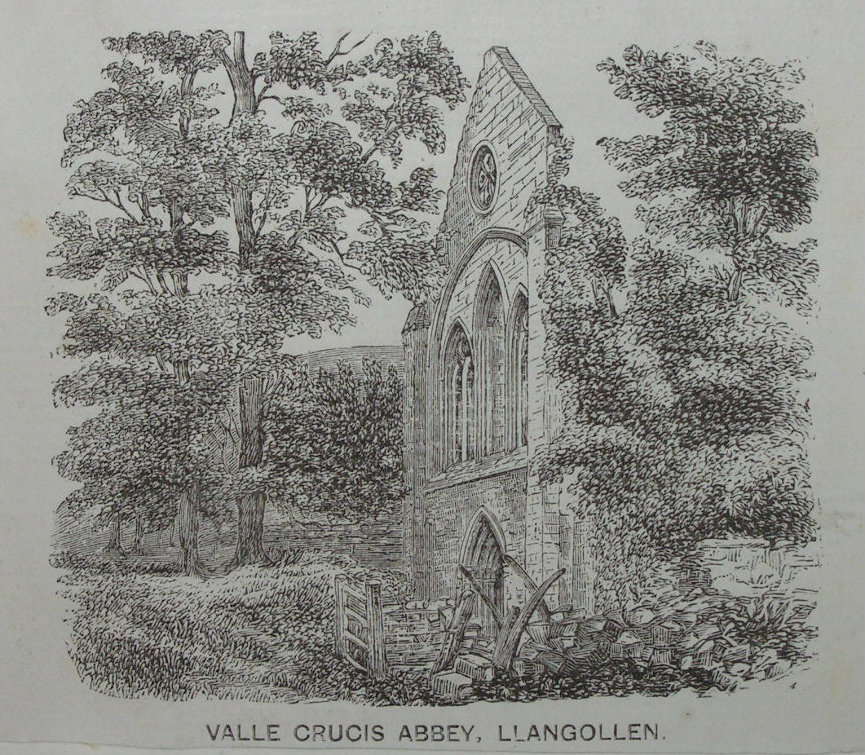 Wood - Valle Crucis Abbey, Llangollen. - Newman