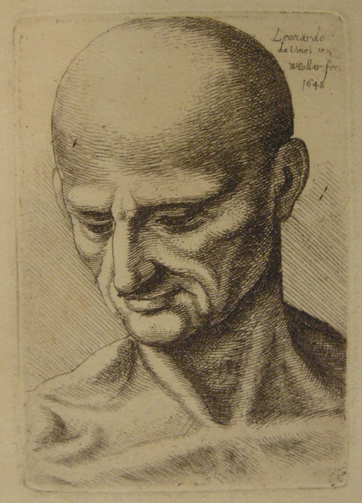 Etching - (Man's head after Da Vinci) - Hollar