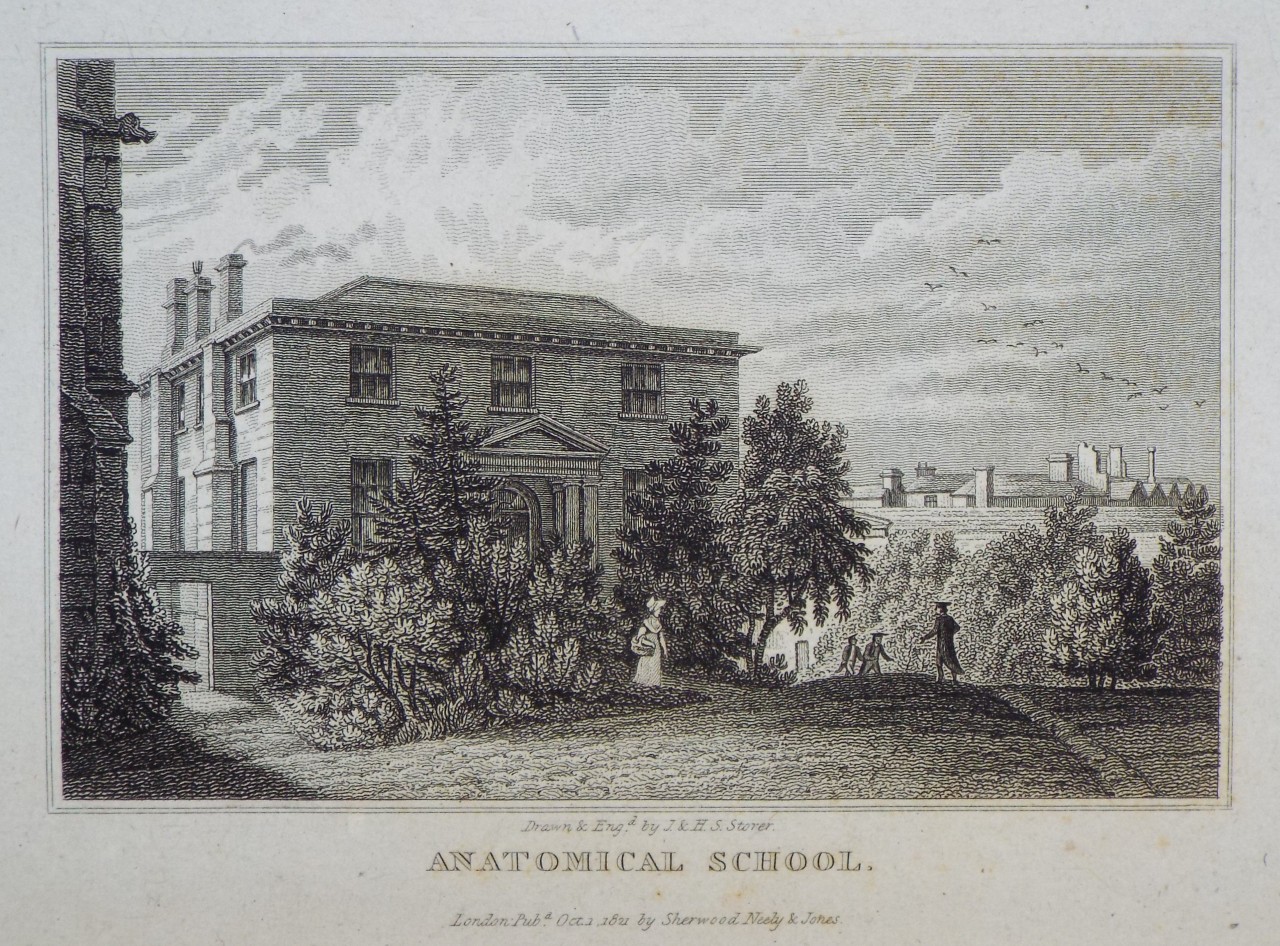 Print - Anatomical School. - Storer