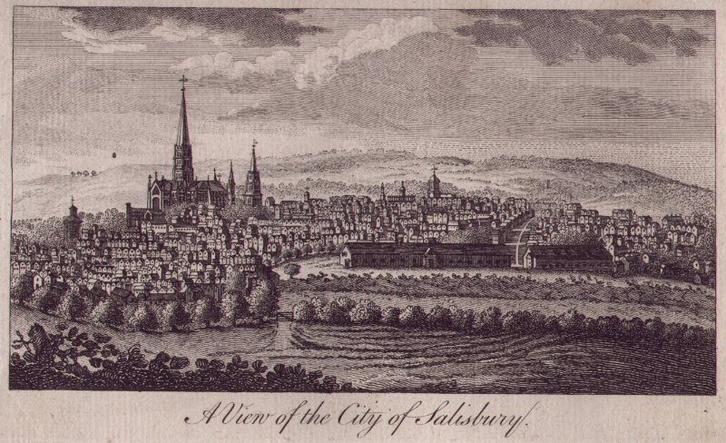 Print - A View of the City of Salisbury