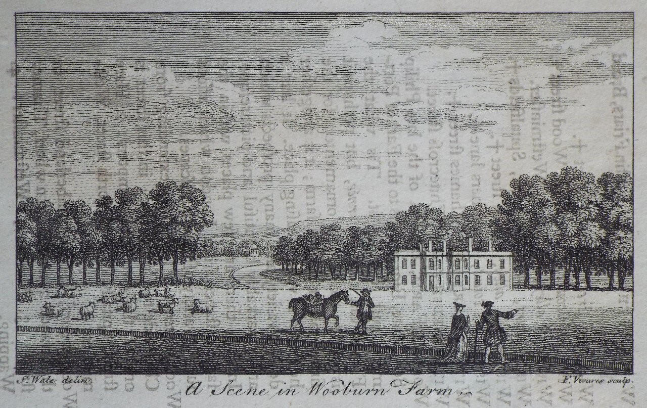 Print - A Scene in Wooburn Farm. - Vivares