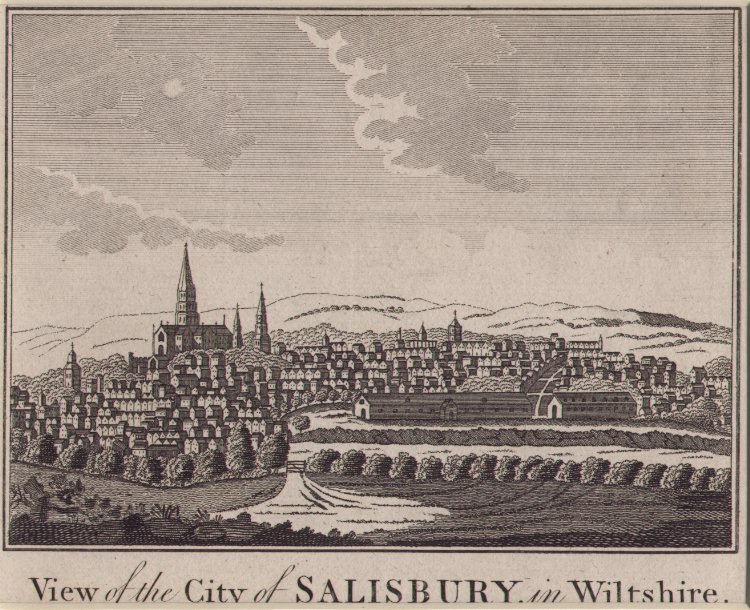 Print - View of the City of Salisbury, in Wiltshire