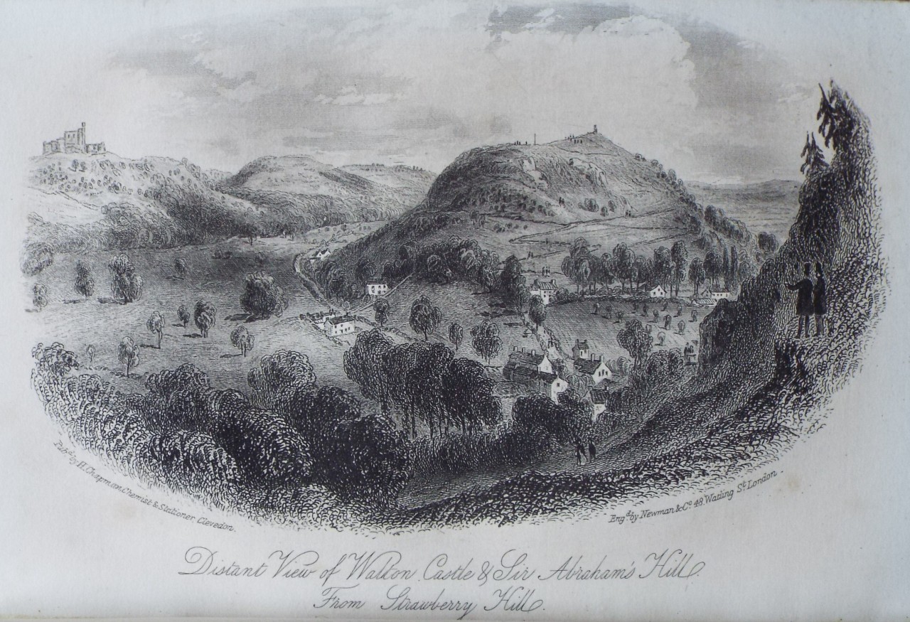 Steel Vignette - Distant View of Walton Castle & Sir Abraham's Hill. From Strawberry Hill. - Newman