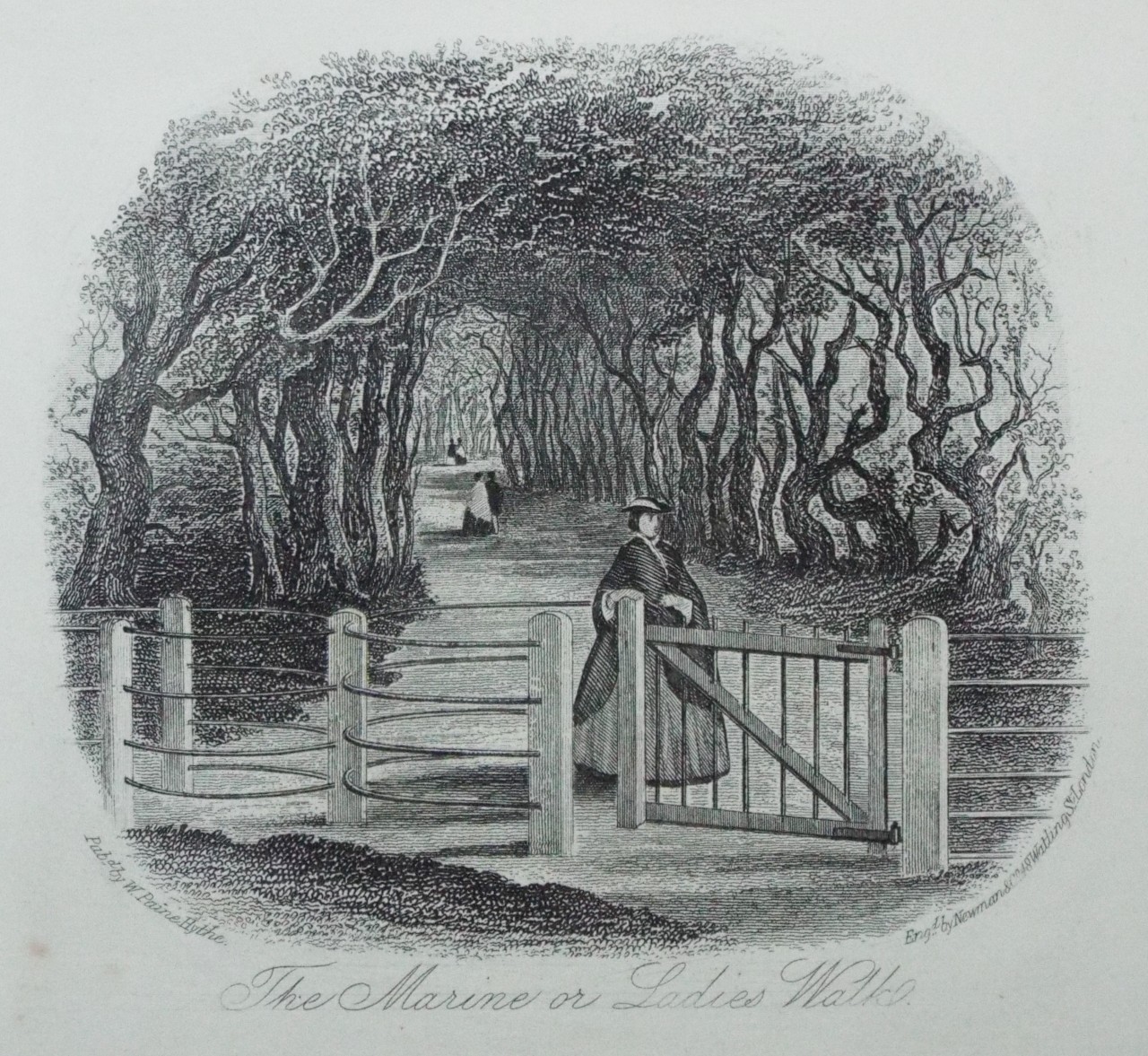 Steel Vignette - The Marine or Ladies Walk. - Newman