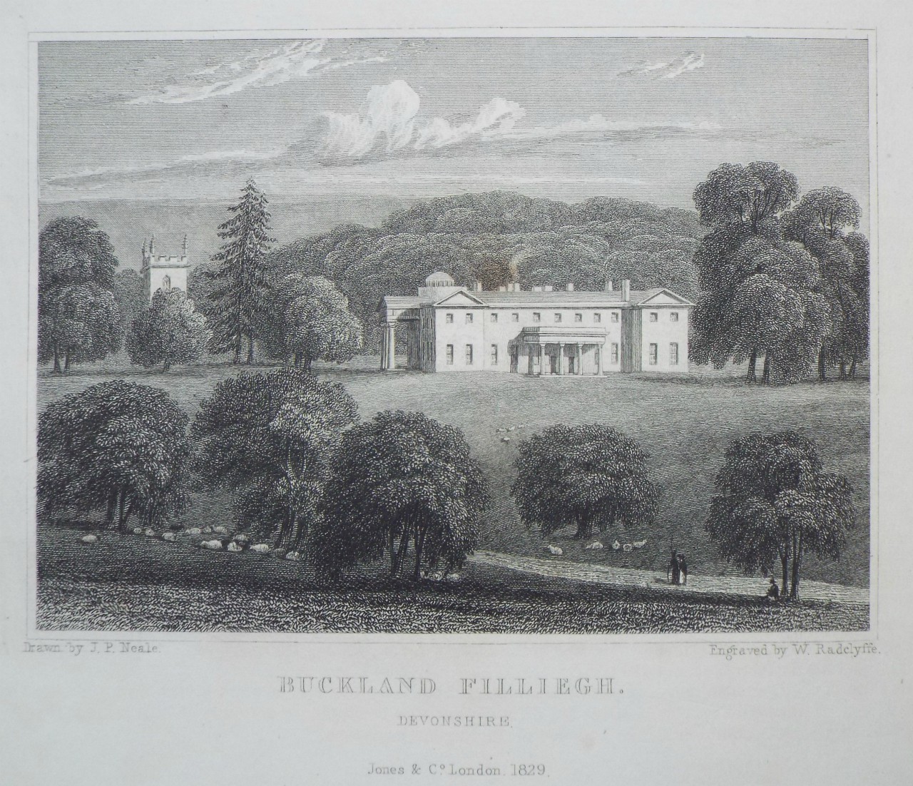 Print - Buckland Filleigh. Devonshire. - Radclyffe