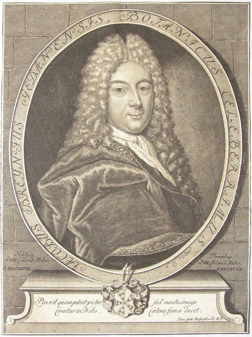 Print - Jacobus Breynius Gedansis Botanicus Celeberrimus