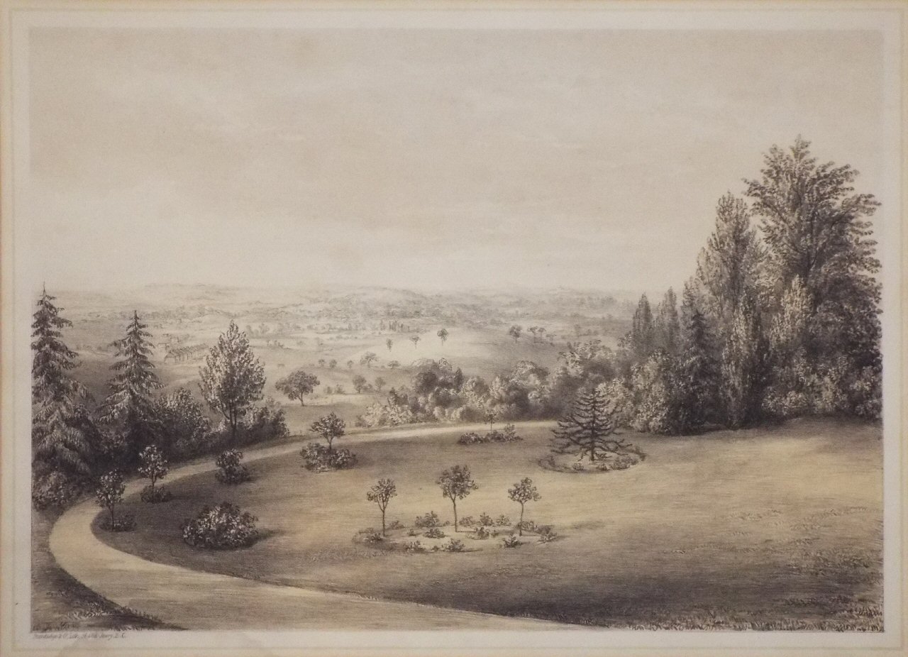 Lithograph - View from Westwood in Beulah Hill