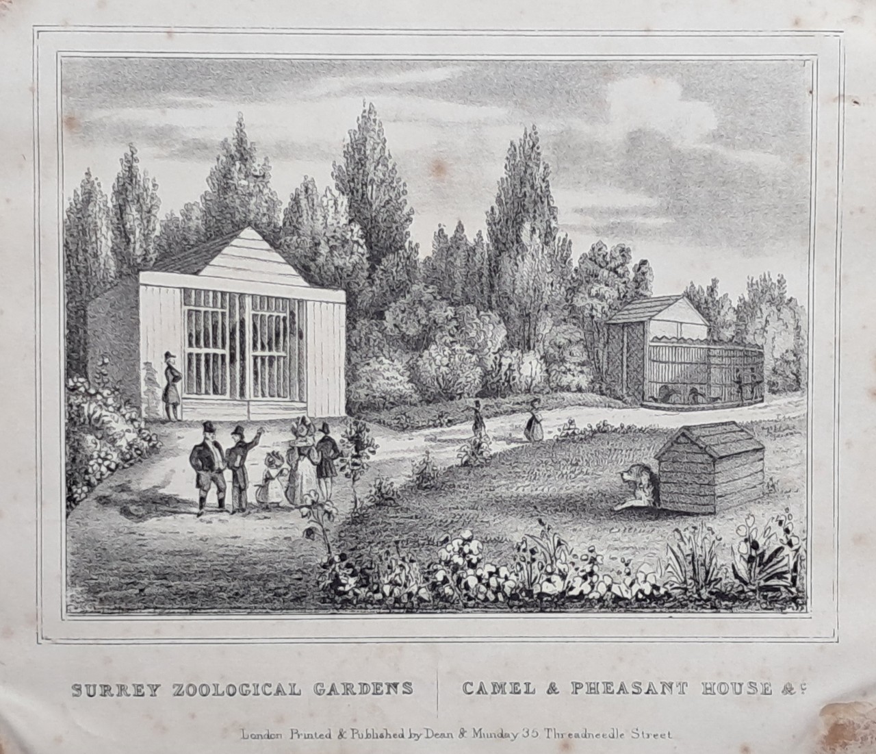 Lithograph - Surrey Zoological Gardens | Camel & Pheasant House &c.