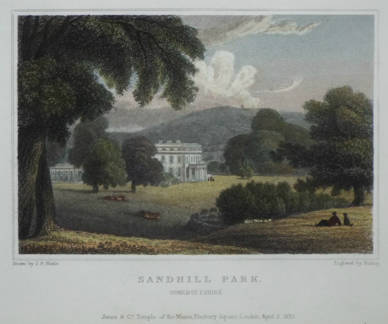 Print - Sandhill Park, Somersetshire - 