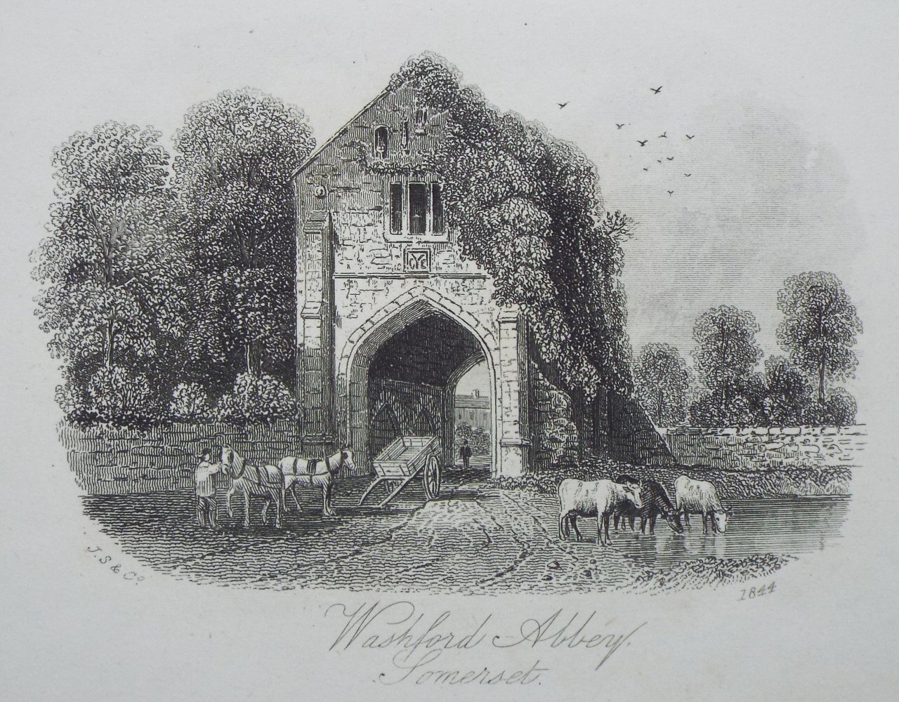 Steel Vignette - Washford Abbey, Somerset - J