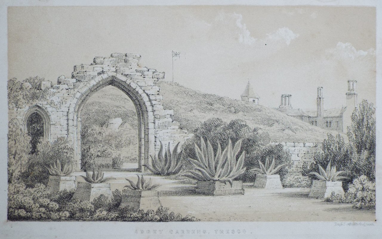 Lithograph - Abbey Gardens, Tresco