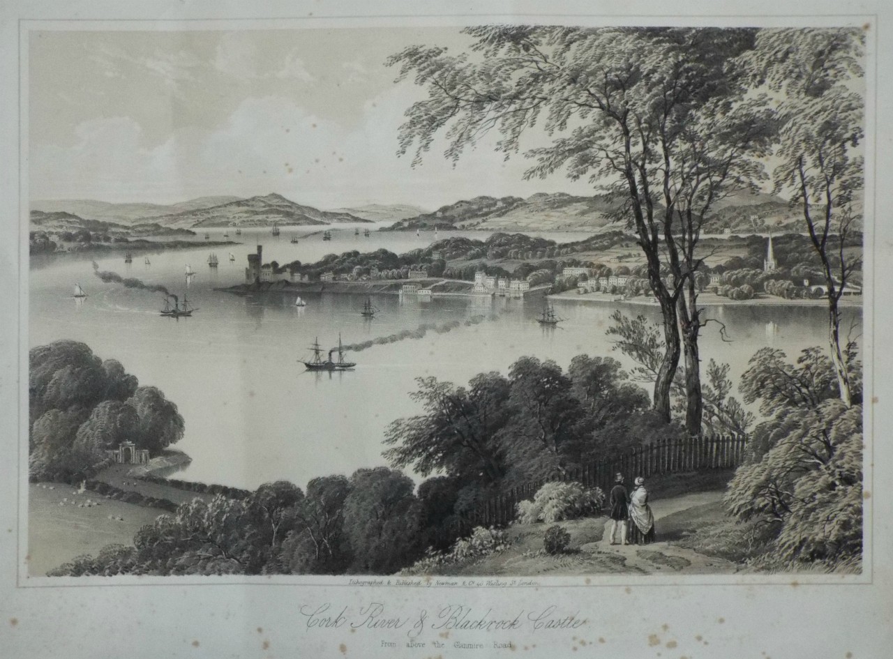 Lithograph - Cork River & Blackrock Castle, from Above the Glanmire Road. - Newman