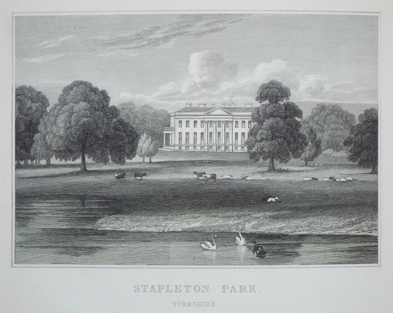 Print - Stapleton Park, Yorkshire. - Heath