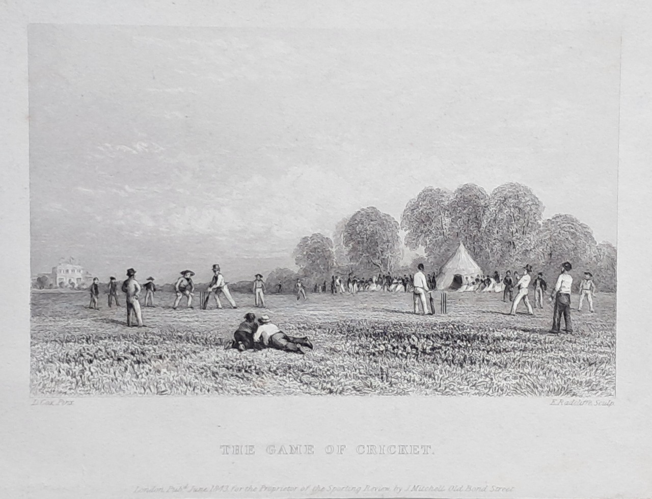Print - The Game of Cricket. - Radcliffe