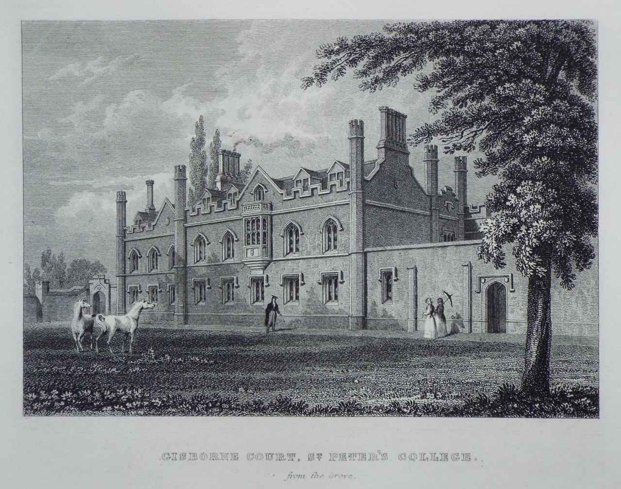 Print - Gisborne Court, St. Peter's Pollege. from the Grove. 