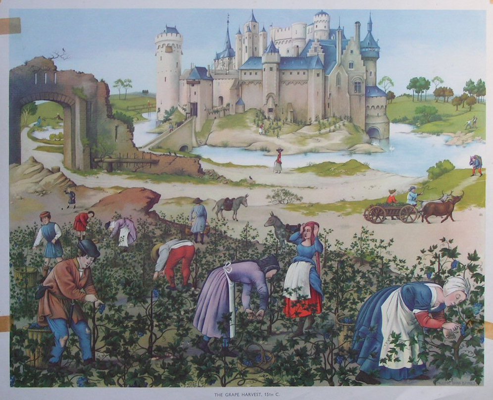 Lithograph - 58 The Grape Harvet, 15th C.