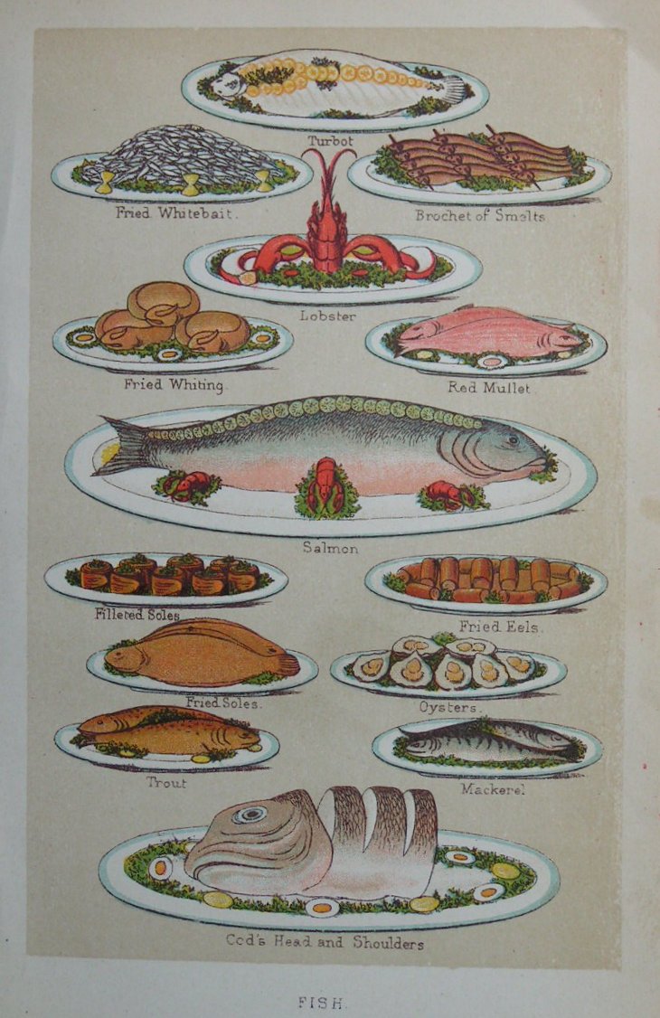 Chromolithograph - Fish