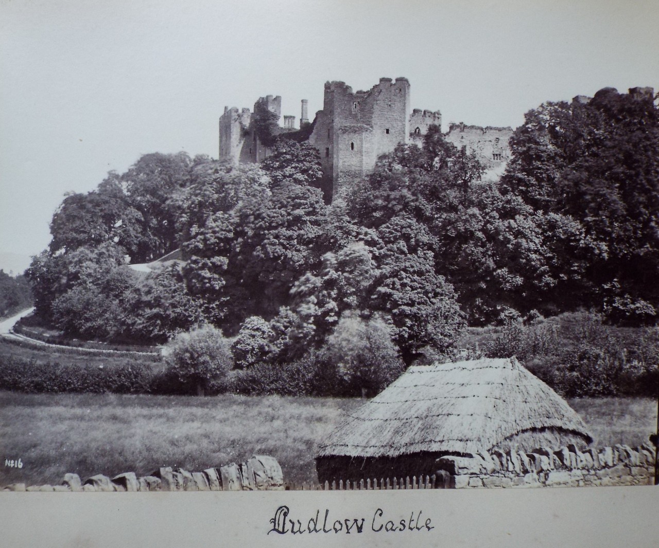 Photograph - Ludlow Castle