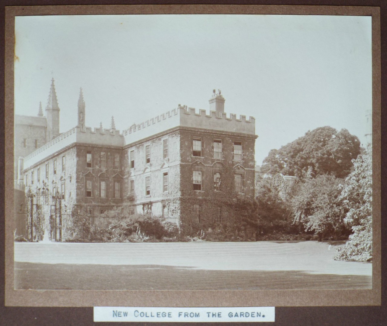 Photograph - New College from the Garden.